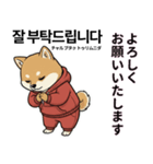 柴犬で日本語と韓国語会話（個別スタンプ：15）