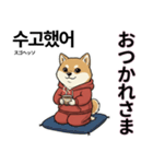 柴犬で日本語と韓国語会話（個別スタンプ：16）