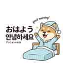 柴犬で日本語と韓国語会話（個別スタンプ：17）