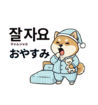 柴犬で日本語と韓国語会話（個別スタンプ：18）