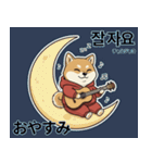 柴犬で日本語と韓国語会話（個別スタンプ：19）