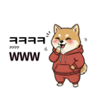 柴犬で日本語と韓国語会話（個別スタンプ：20）