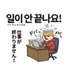 柴犬で日本語と韓国語会話（個別スタンプ：21）