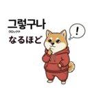 柴犬で日本語と韓国語会話（個別スタンプ：22）