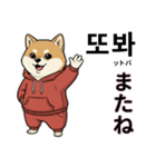 柴犬で日本語と韓国語会話（個別スタンプ：24）