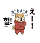 柴犬で日本語と韓国語会話（個別スタンプ：25）