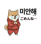 柴犬で日本語と韓国語会話（個別スタンプ：28）