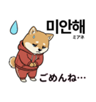 柴犬で日本語と韓国語会話（個別スタンプ：29）