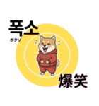 柴犬で日本語と韓国語会話（個別スタンプ：30）