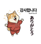 柴犬で日本語と韓国語会話（個別スタンプ：32）