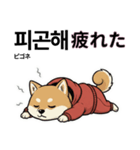 柴犬で日本語と韓国語会話（個別スタンプ：36）