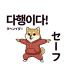 柴犬で日本語と韓国語会話（個別スタンプ：37）