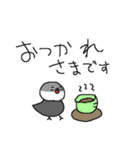 トリだらけ！（個別スタンプ：3）