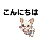 チワワのくーちゃん文字大きめスタンプ（個別スタンプ：2）