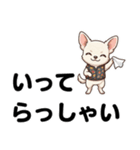 チワワのくーちゃん文字大きめスタンプ（個別スタンプ：6）