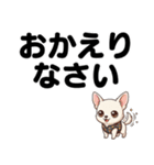 チワワのくーちゃん文字大きめスタンプ（個別スタンプ：7）