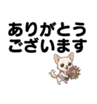 チワワのくーちゃん文字大きめスタンプ（個別スタンプ：8）