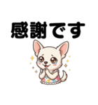 チワワのくーちゃん文字大きめスタンプ（個別スタンプ：9）