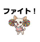 チワワのくーちゃん文字大きめスタンプ（個別スタンプ：10）