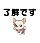 チワワのくーちゃん文字大きめスタンプ（個別スタンプ：11）