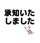 チワワのくーちゃん文字大きめスタンプ（個別スタンプ：14）
