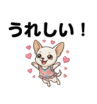 チワワのくーちゃん文字大きめスタンプ（個別スタンプ：16）