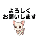チワワのくーちゃん文字大きめスタンプ（個別スタンプ：18）