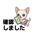 チワワのくーちゃん文字大きめスタンプ（個別スタンプ：19）