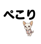 チワワのくーちゃん文字大きめスタンプ（個別スタンプ：20）