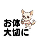 チワワのくーちゃん文字大きめスタンプ（個別スタンプ：21）