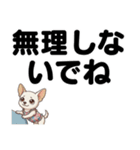 チワワのくーちゃん文字大きめスタンプ（個別スタンプ：22）
