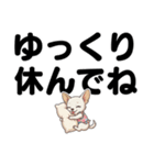 チワワのくーちゃん文字大きめスタンプ（個別スタンプ：23）