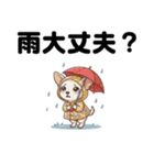 チワワのくーちゃん文字大きめスタンプ（個別スタンプ：26）