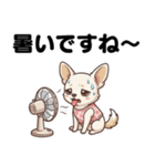 チワワのくーちゃん文字大きめスタンプ（個別スタンプ：27）