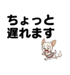 チワワのくーちゃん文字大きめスタンプ（個別スタンプ：31）