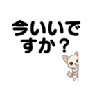 チワワのくーちゃん文字大きめスタンプ（個別スタンプ：32）