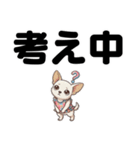 チワワのくーちゃん文字大きめスタンプ（個別スタンプ：34）