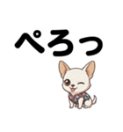チワワのくーちゃん文字大きめスタンプ（個別スタンプ：39）