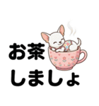 チワワのくーちゃん文字大きめスタンプ（個別スタンプ：40）