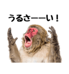 感情ダダ漏れ日本猿の全力リアクション（個別スタンプ：5）