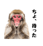 感情ダダ漏れ日本猿の全力リアクション（個別スタンプ：7）