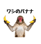 感情ダダ漏れ日本猿の全力リアクション（個別スタンプ：8）