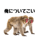 感情ダダ漏れ日本猿の全力リアクション（個別スタンプ：10）