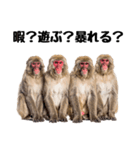 感情ダダ漏れ日本猿の全力リアクション（個別スタンプ：17）