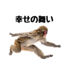 感情ダダ漏れ日本猿の全力リアクション（個別スタンプ：23）