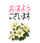 12月 冬の花 大きくて見やすい挨拶スタンプ（個別スタンプ：2）