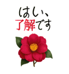 12月 冬の花 大きくて見やすい挨拶スタンプ（個別スタンプ：5）
