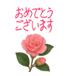 12月 冬の花 大きくて見やすい挨拶スタンプ（個別スタンプ：12）