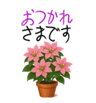 12月 冬の花 大きくて見やすい挨拶スタンプ（個別スタンプ：13）