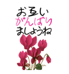 12月 冬の花 大きくて見やすい挨拶スタンプ（個別スタンプ：14）